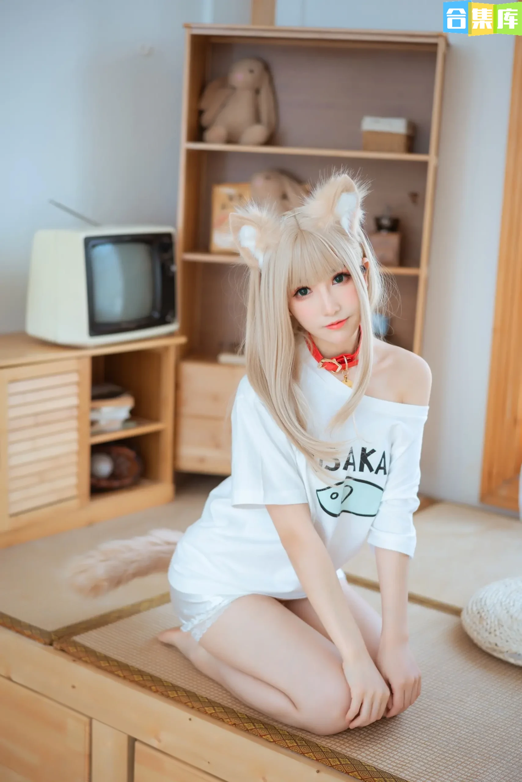 coser衣衣/乖乖衣宝 – 全套18期&随包视频[2.6G-2025.12]-合集库