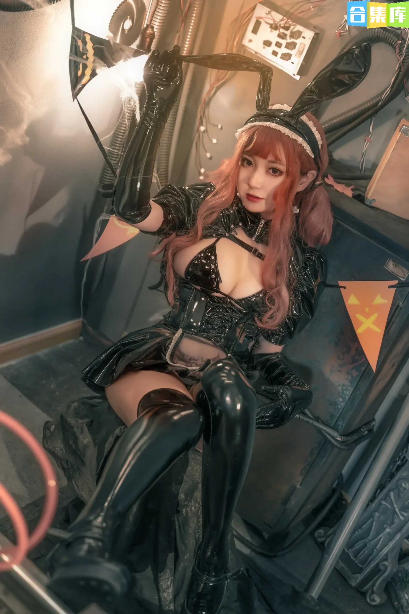 图片[15]-[合集]奇行家狗崽全套11期，大小3.3G新收录 - 合集库-合集库