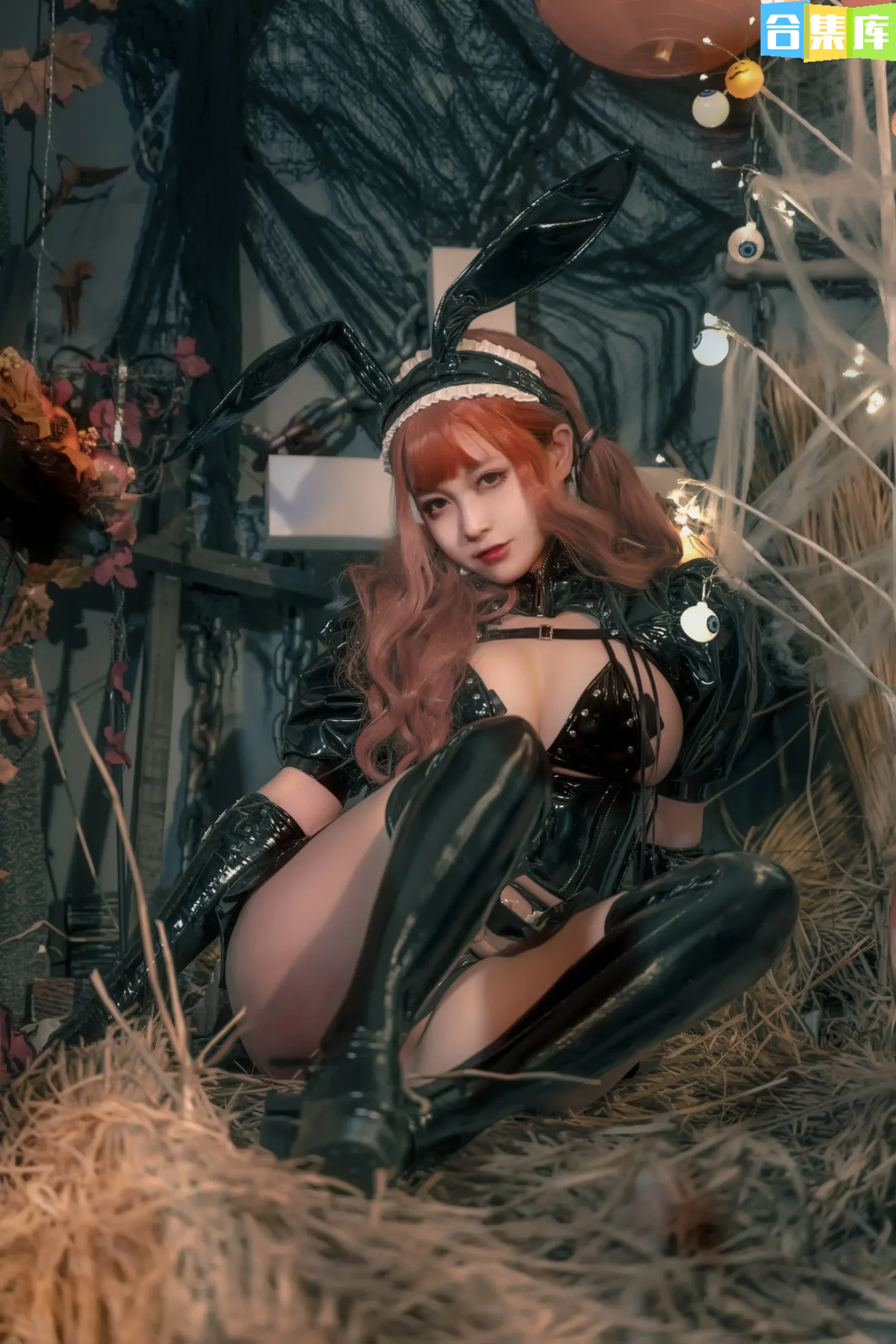 图片[4]-[合集]奇行家狗崽全套11期，大小3.3G新收录 - 合集库-合集库