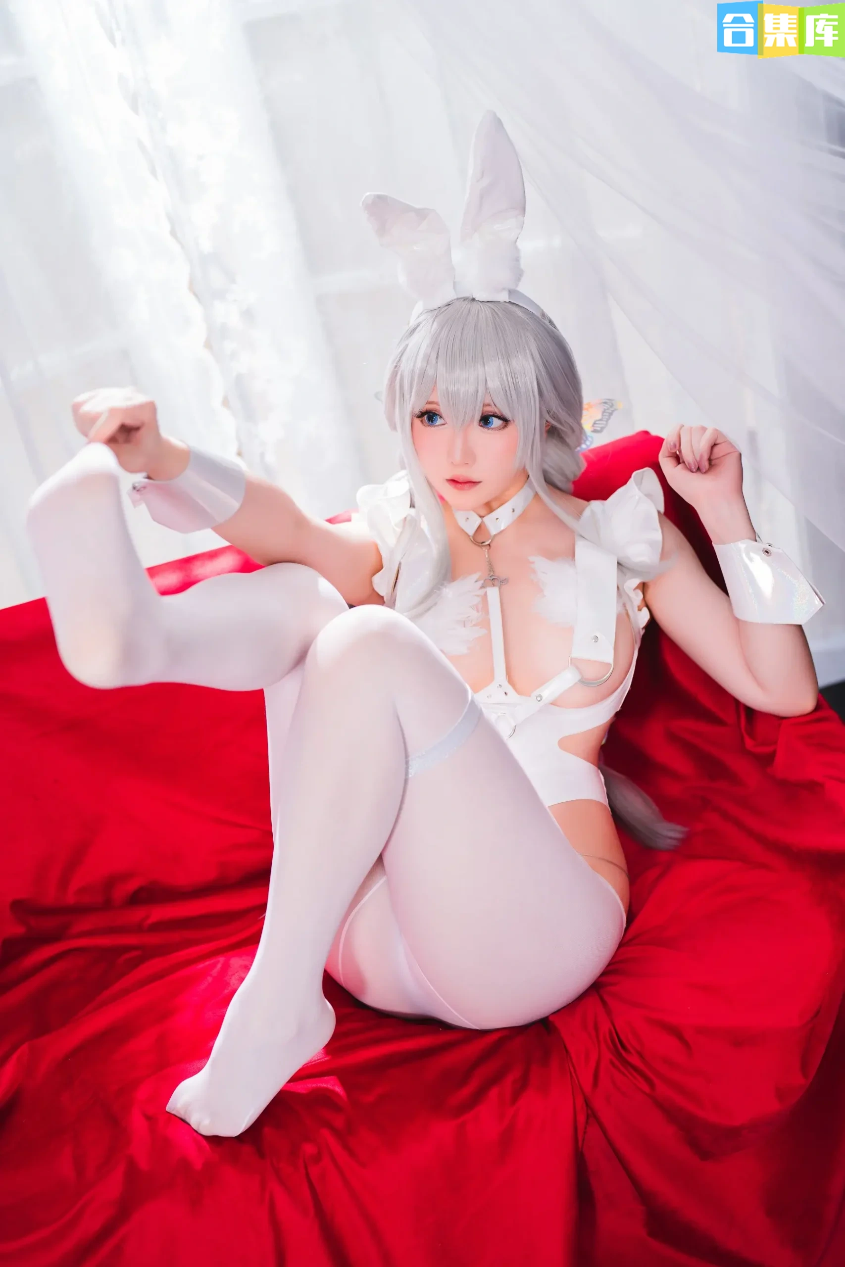 图片[11]-星之迟迟 – 全套345期含随包视频[188.7G-2025.11] - 合集库-合集库