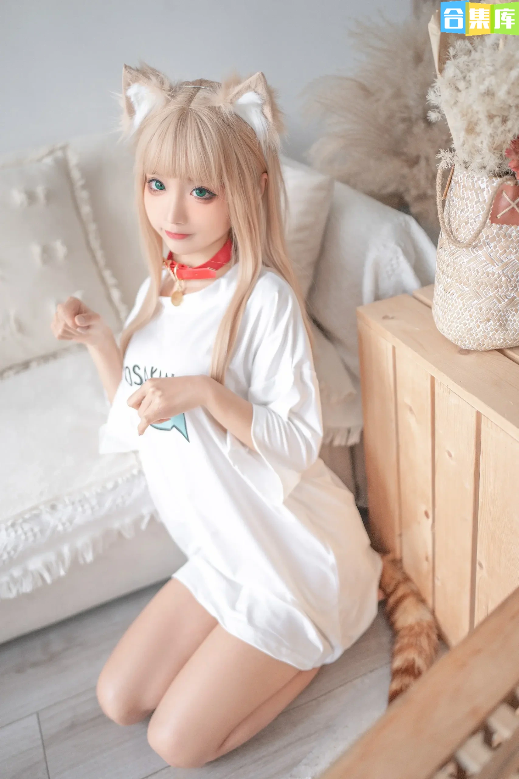 图片[22]-蠢沫沫 – 全套419套&随包视频[269.2G-2025.11] - 合集库-合集库