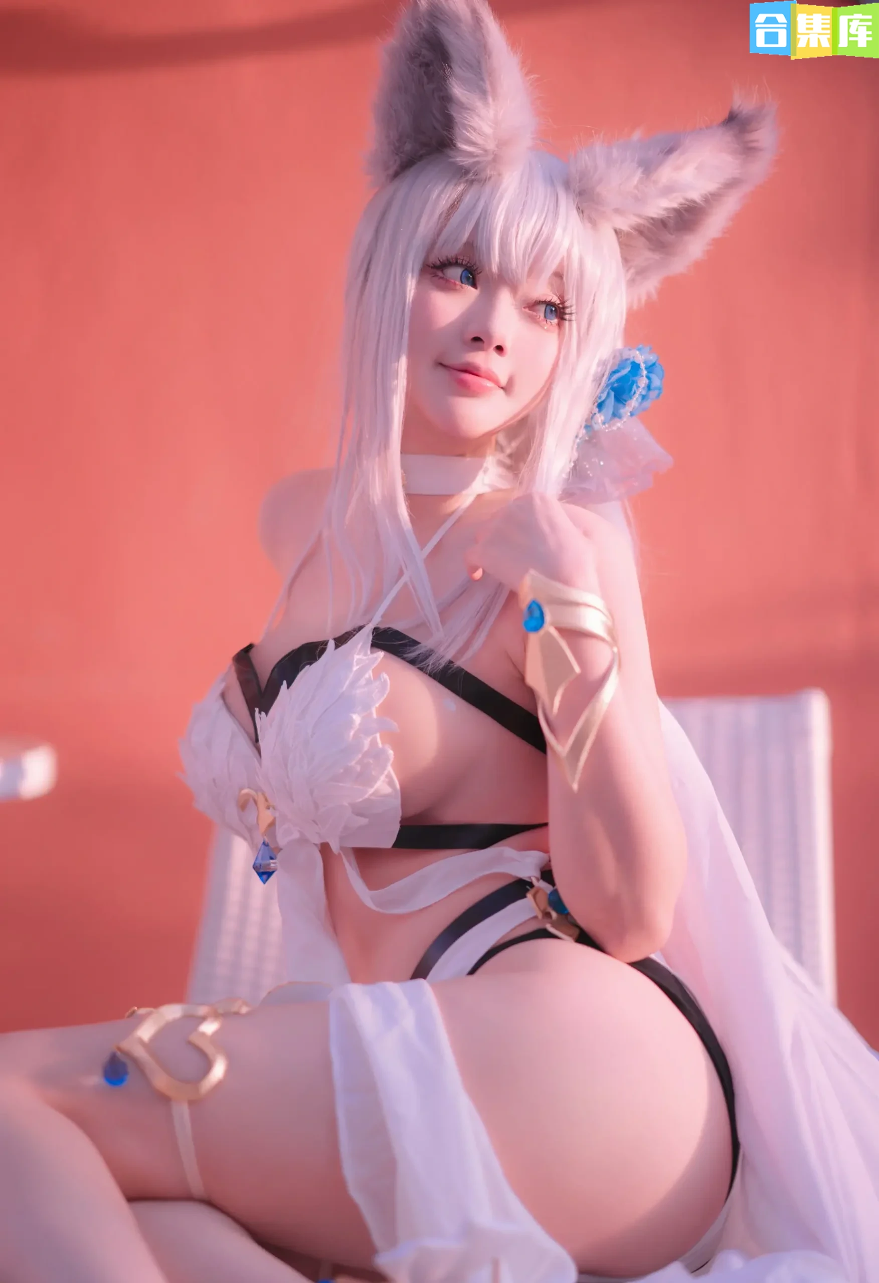 图片[2]-黑龙贯通 – 全套22期[2.3G] - 合集库-合集库