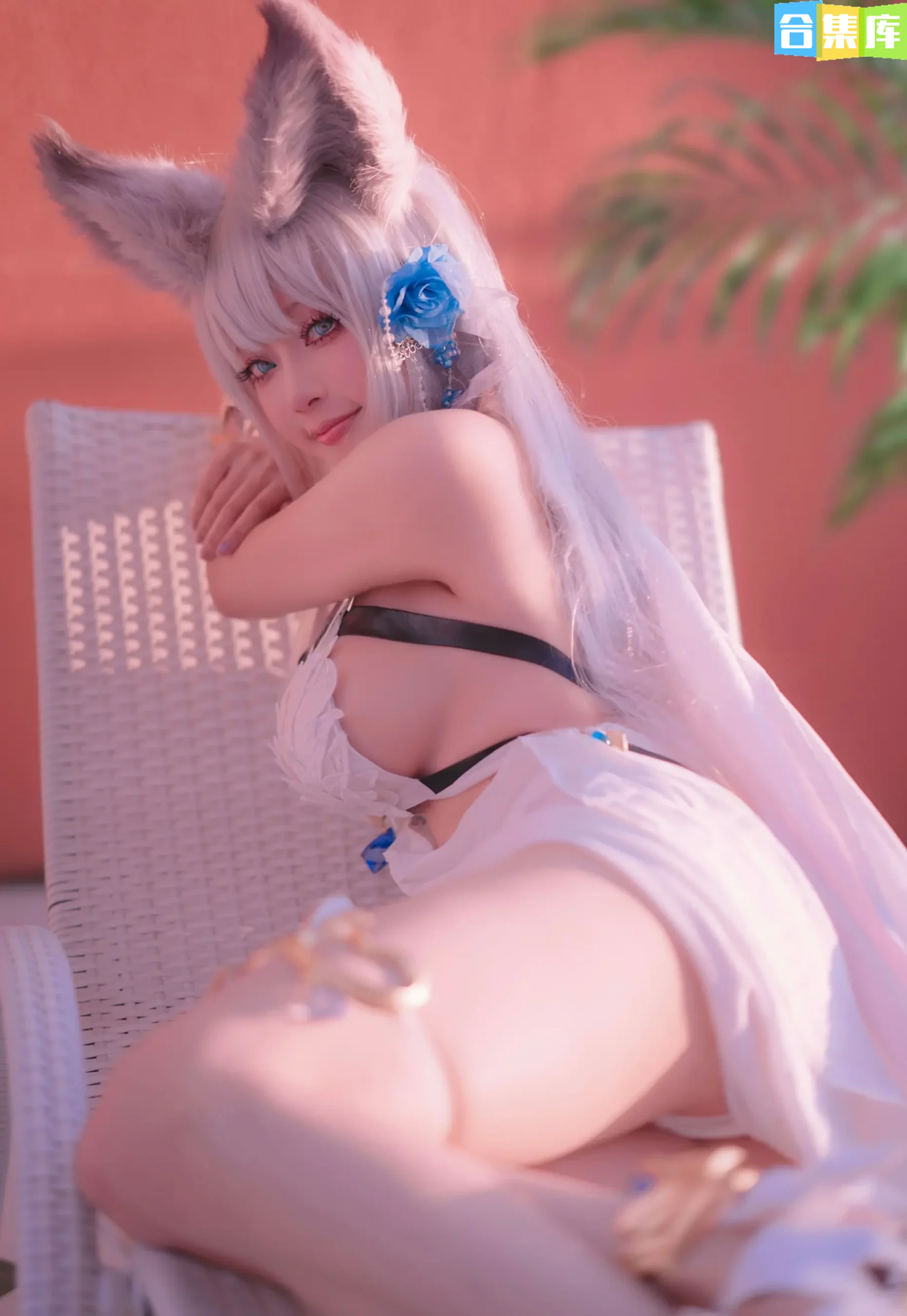 图片[6]-黑龙贯通 – 全套22期[2.3G] - 合集库-合集库